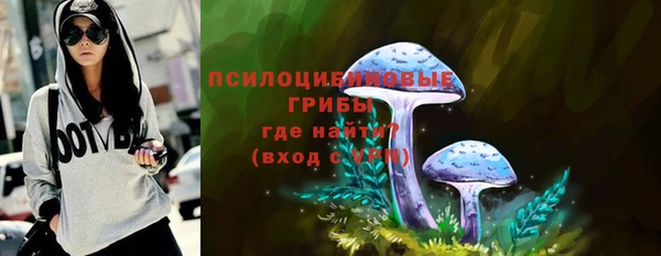 дживик Алексин