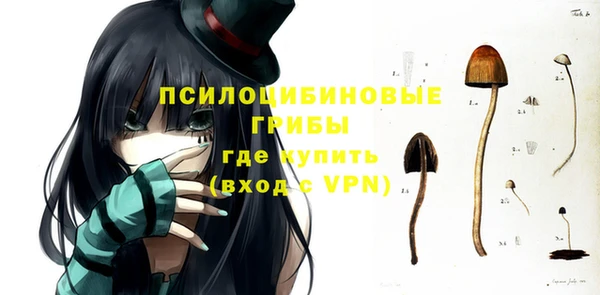 дживик Алексин