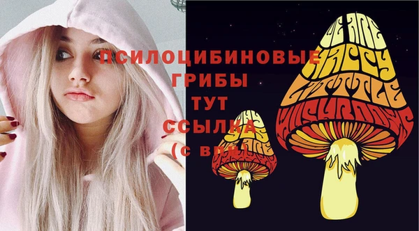 дживик Алексин