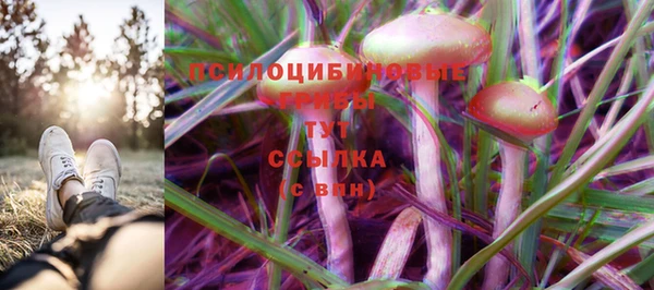 PSILOCYBIN Гусь-Хрустальный